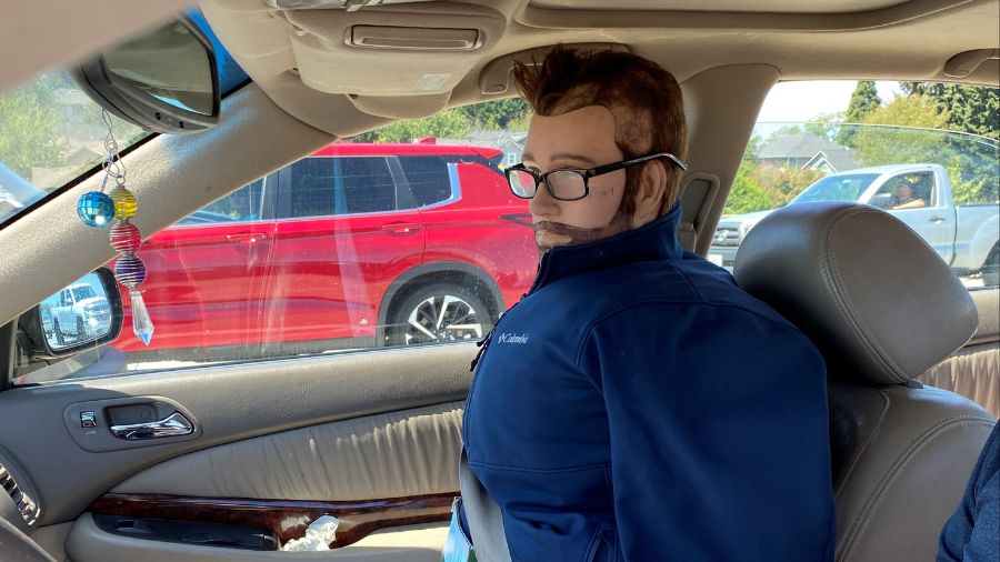 wsp hov lanes dummy...